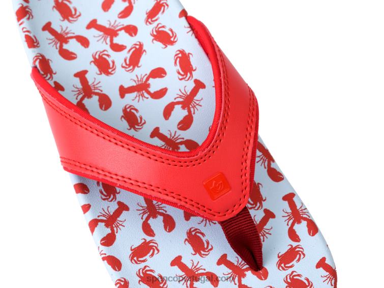 Spenco Footwear cavalos marinhos roxos oceano yumi - 2021 648F97 mulheres